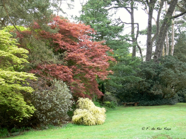 Bois des Moutiers (12) Mai 2012